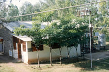 Services offered