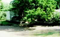 The Institute